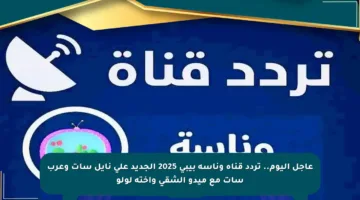 عاجل اليوم.. تردد قناة وناسة بيبي 2025 الجديد على نايل سات وعرب سات مع ميدو الشقي وأخته لولو